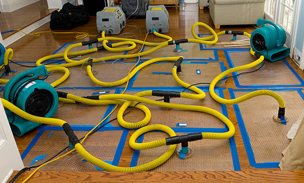 Professional Emergency Water Removal technician working in Brunsville, IA
